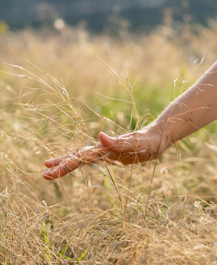 Thrive and Connect Day Program Sunshine Coast